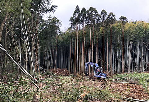 長さ20cm！ソロ焚き火台専用薪：A085-010