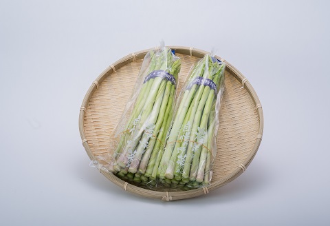 たけだファーム産地直送グリーンアスパラガス 2Lサイズ1kg：B170-015