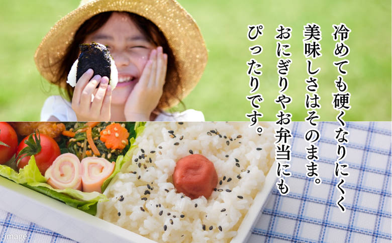 【新米】令和7年 佐賀県産「さがびより」5kg：B120-068