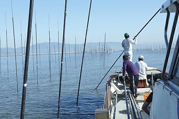 【お試しサイズ】初摘み佐賀 焼のり（2切5枚）×2袋 ※クロネコゆうパケット便利用：A055-003