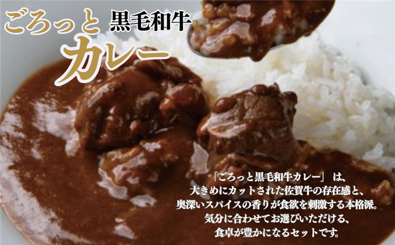 ごろっとカレー・ビーフシチューセット 佐賀牛 カレー ビーフシチュー レトルト 湯煎 レンジ調理 簡単 ：A080-012