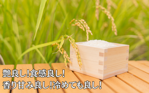 令和7年 佐賀県産さがびより 白米6kg：B170-036