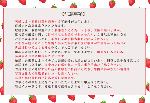 佐賀県産 いちご「かおりの」（250g×2パック）：A080-006