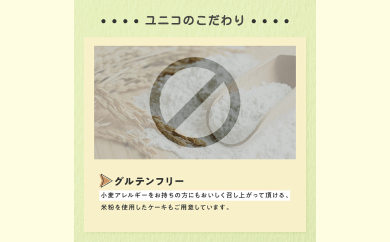 ショコラのバスクチーズケーキ：B100-003