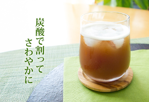 簡単割るだけ！和のチャイシロップ2本セット：B140-090