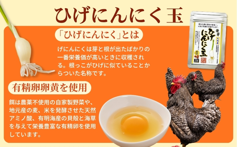 【ポスト投函】ひげにんにくの伝統製法 選べる2種セット（熟成発酵黒ひげにんにく・発芽ひげにんにく）：B115-037 2袋セット