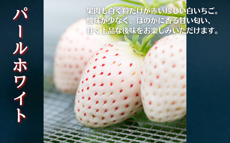 佐賀県産いちご さがほのか＆パールホワイト 紅白セット：B140-008