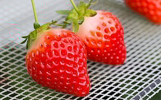 佐賀県産 れんこんとさがほのかのセット：B160-020