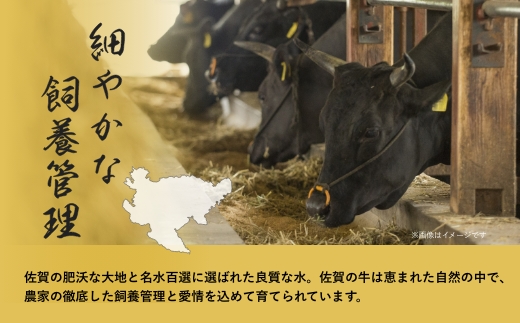 佐賀牛堪能 焼肉5種セット 響盛：B320-003