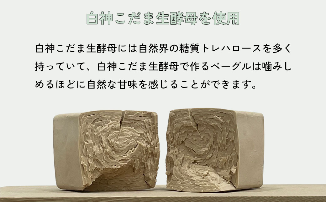 おまかせベーグル5個セット 詰め合わせ もちもち 国産小麦 こだわり食材 パン 冷凍 朝食 ベーグル 行列 人気店 MORE BAGEL 佐賀市：B100-049