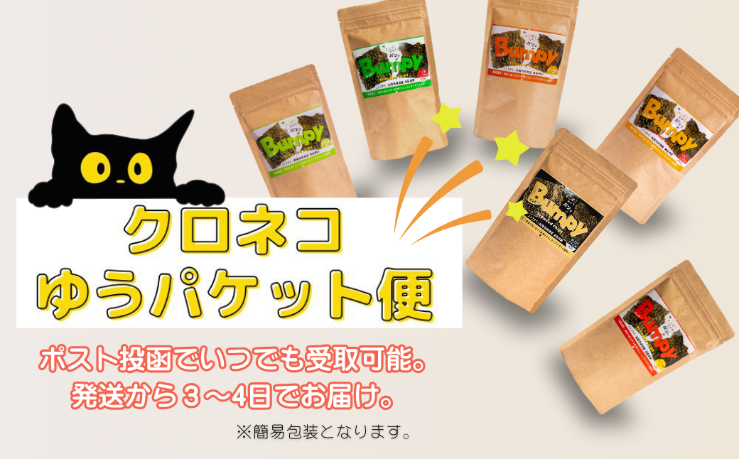 有明海産海苔使用 ヘルシーな海苔チップス「Bumpy（バンピー）」パウチ型6個アソートセット【クロネコゆうパケット利用】 フードロス削減 SDGs 有明海苔 有明海産 海苔 味付け海苔 スナック おやつ おつまみ：B100-068