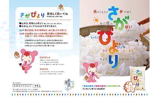 【新米】令和7年産 佐賀県産 さがびより 白米 5kg おこめ 米 ：B170-023