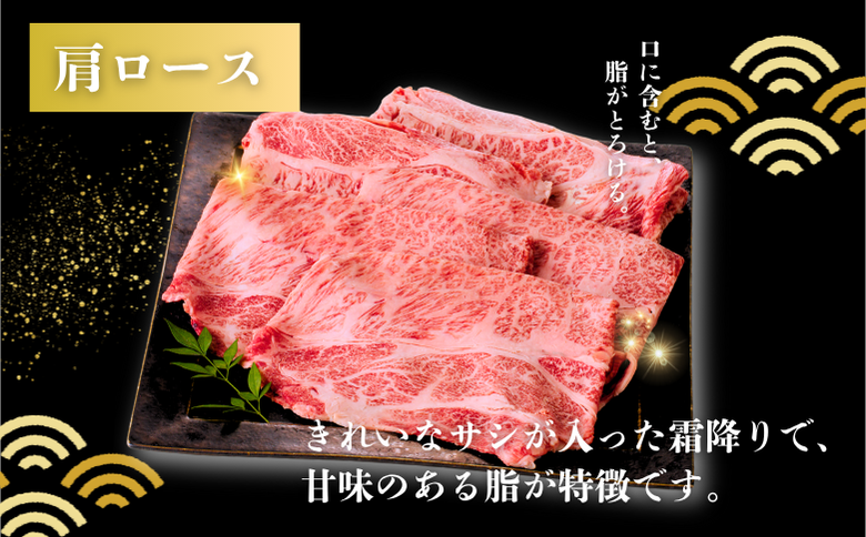 佐賀牛 肩ローススライス 600g：B205-014