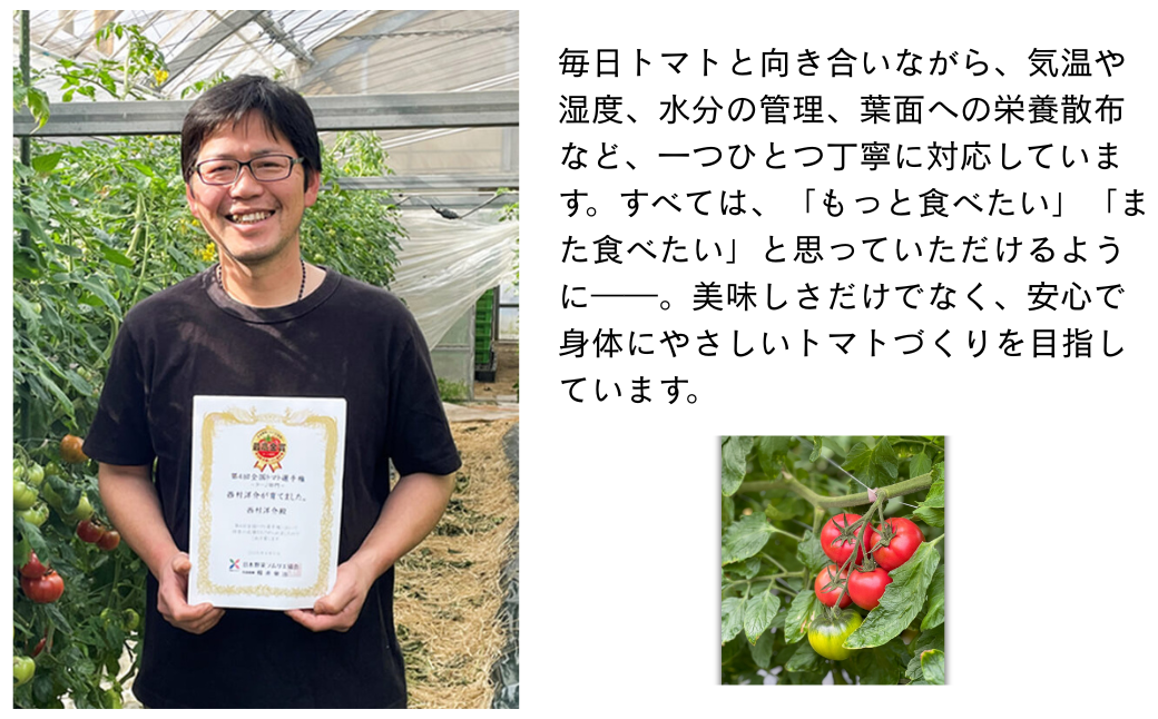 【期間限定】第4回全国トマト選手権にて【最高金賞】の「西村とまと」 3月～5月発送 トマト 野菜 産地直送 佐賀県 佐賀市：B290-009