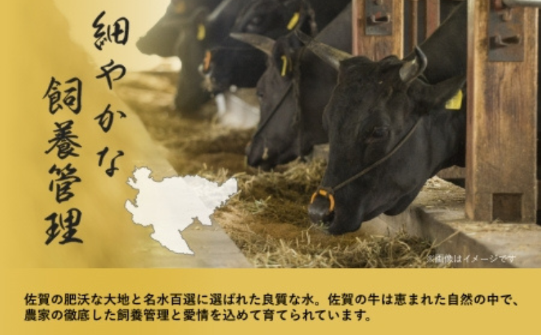 佐賀牛 カルビ 焼肉用 500g 牛肉 黒毛和牛 カット済 バーベキュー 佐賀県 佐賀市 佐賀丸美屋 焼肉屋：B320-012