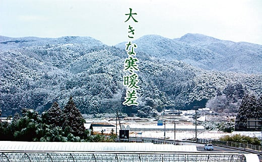 【新米】令和7年産　佐賀市三瀬村産「コシヒカリ」10kg（5kg×2袋）：B335-020