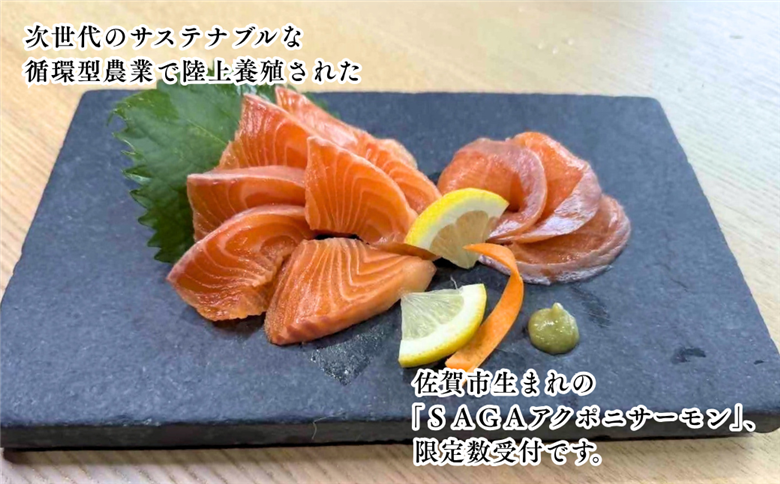 佐賀から未来へ！SAGAアクポニサーモン 1kg 100g×10P カット済 刺身 サーモン トラウトサーモン 国産 生食 陸上養殖 アクアポニックス 高品質 佐賀市産 海鮮 魚介 魚 冷凍 小分け 解凍するだけ 海鮮丼 カルパッチョ 寿司 鮭 佐賀県 佐賀市 ：B400-007