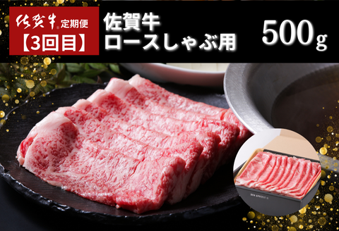 【定期便4回】佐賀牛セット 2.9kg（約2～3人前）：B985-003