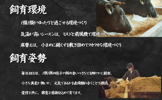 【定期便6回】【少人数用】佐賀牛のステーキ定期便：B790-010