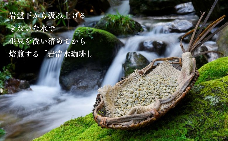 パナマ・エスメラルダ農園産ゲイシャドリップ「日本一」 コーヒー ドリップバッグ 50杯分 最高級 飲料 珈道庵 佐賀県 佐賀市 三瀬村 ：C337-003