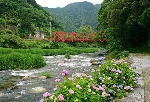 古湯・熊の川温泉 千曲荘 宿泊券：C122-003
