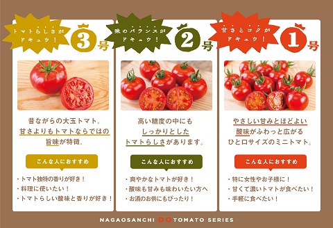 【人気】甘さとコクがド級！ドトマト1号：B140-010