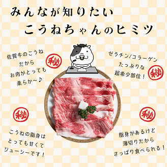 佐賀牛切り落としコウネちゃん300g：B110-022