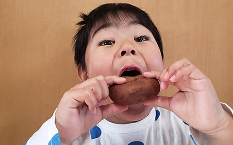 美味しい！お魚を使ったドーナツたっぷり20袋セット：B140-063