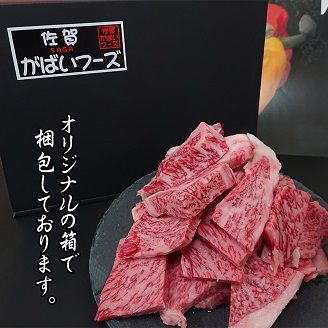 佐賀牛はしっこちゃん500：B160-029