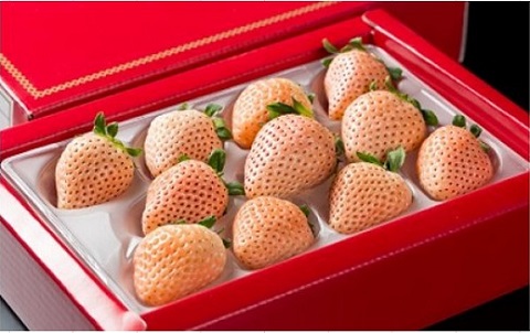 【先行予約】希少価値 佐賀県産 いちご 淡雪 （化粧箱×2箱） フルーツ 果物 旬 苺 白いちご 350g×2P 贈答 化粧箱 ギフト プレゼント 九州 佐賀県 佐賀市 清瀬農園 ：B190-026