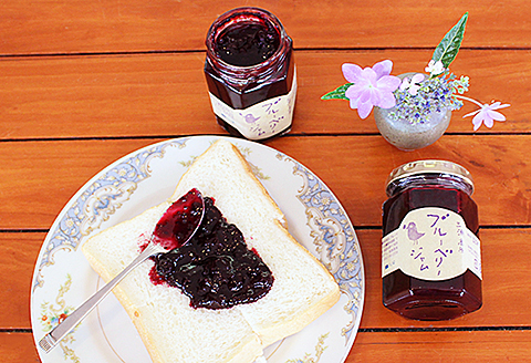 完熟ブルーベリージャムセット：B100-029
