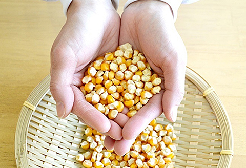 有機栽培 コーン茶（3個セット）：B210-004