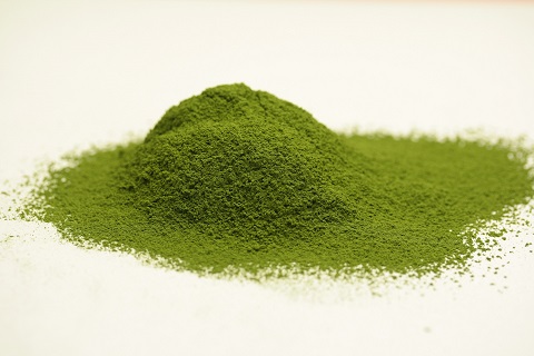 シェフの自信作【抹茶のロールケーキ】2本セット：B150-052