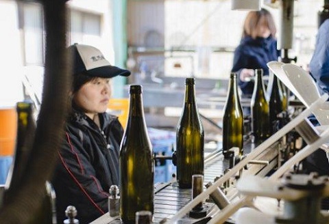 佐嘉酒造 特別純米酒 窓乃梅：B110-024