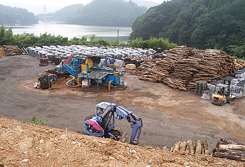 長さ20cm！ソロ焚き火台専用薪：A085-010