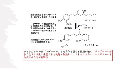 蒸し生姜シロップ2本セット 栽培期間中農薬不使用で自然な美味しさ：B130-026