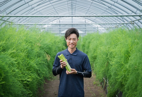 たけだファーム産地直送グリーンアスパラガス 2Lサイズ1kg：B170-015