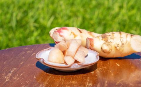 まだと切れぬ初恋の味『初恋ほのか』premium：B120-028