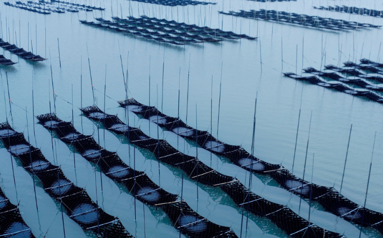 新撰佐賀のり味のり：B130-054