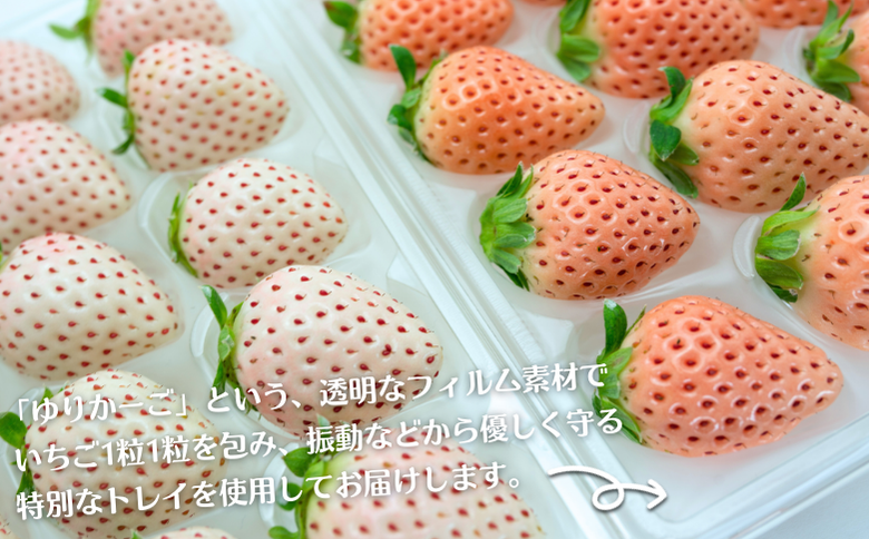 佐賀県産 白いちご 淡雪＆パールホワイト：B180-035