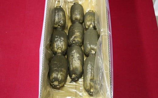 【定期便3回】佐賀県産 いちごとれんこん【2月から4月発送】：B420-002