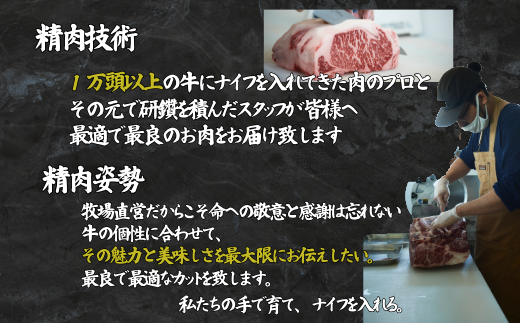 【定期便6回】佐賀牛 至福のきりおとし 500g：B730-006