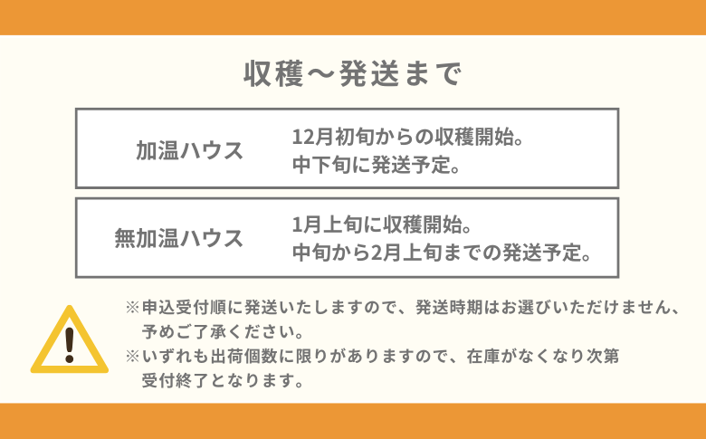 【12月～2月上旬発送】佐賀市大和町産みかん「津の輝」 温州みかん 佐賀みかん 贈答 ギフト：B150-076