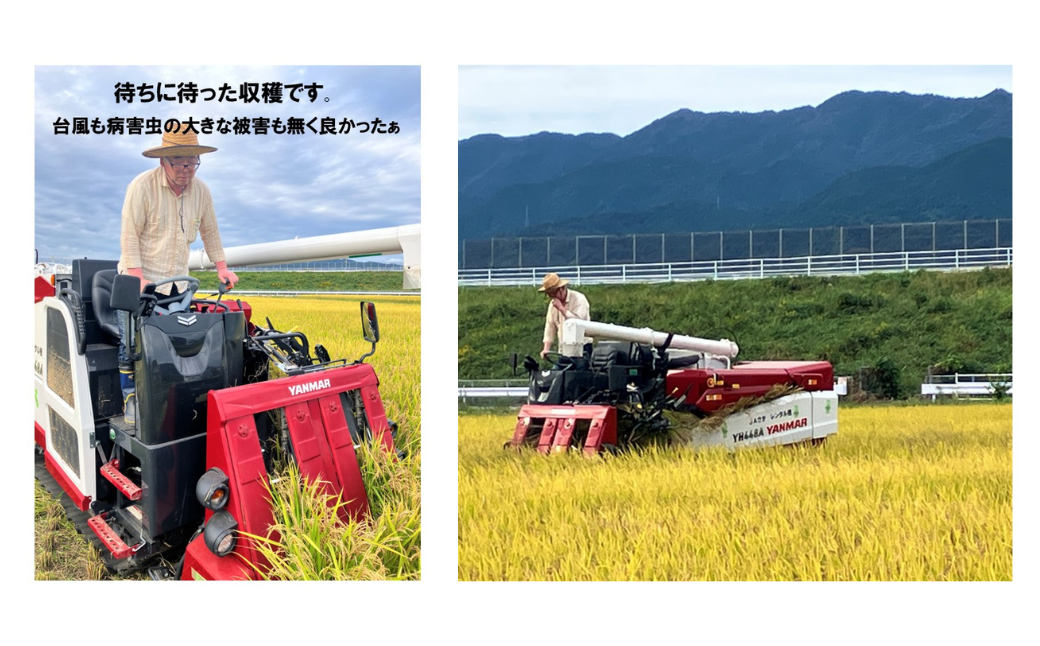 【新米】令和7年産 お米マイスターお勧め『だいちゃんの、さがびより』精米 5kg：B165-012