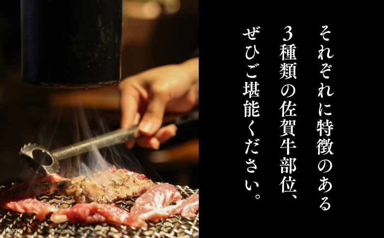 佐賀牛 焼肉セット（上） モモ ウデ バラ 各200g×3P（計600g） 黒毛和牛 牛肉 ブランド牛：B200-027