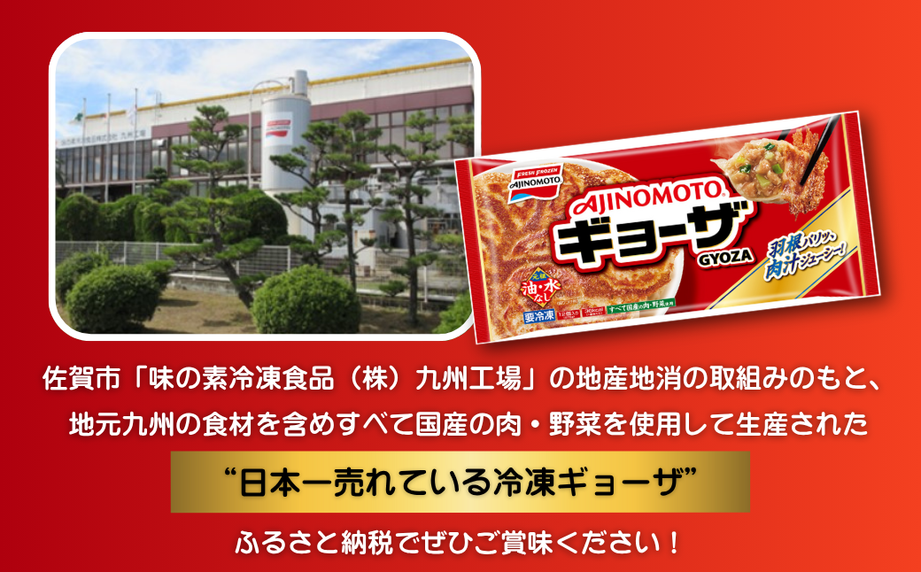AJINOMOTOギョーザ 20袋 ぎょうざ 240個 味の素 冷凍食品 餃子 簡単調理 加工食品 惣菜 冷凍 佐賀市：B240-024