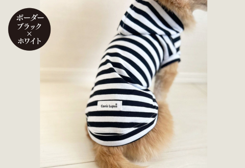 オーナー様とお揃いで着れるボーダーパーカー：B250-016