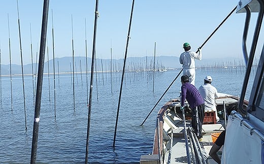 【2026新海苔】【数量限定】初摘み佐賀のり 贅沢プレミアム焼のり6袋セットN：B400-021