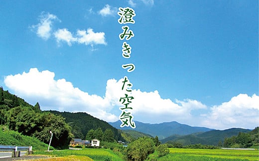 令和7年産 佐賀市三瀬村産「コシヒカリ」15kg（5kg×3袋）：B485-002