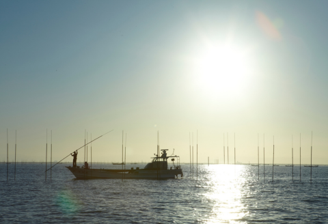 【定期便（3回）1・5・9月発送】初摘み佐賀のり 贅沢プレミアム焼のり『大パック』2袋セットJ：B500-009